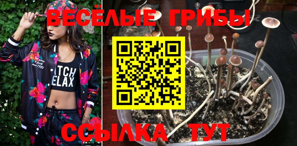 Галлюциногенные грибы Psilocybe  Галлюциногенные грибы ЛСД  Удомля  Вход с VPN 